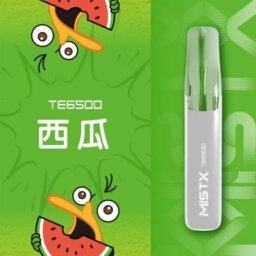 Mist X 鴨嘴獸 6500抛棄式電子煙 650mAh大電量可充電續航 冰爽水果口味清涼入喉 獨家萌系外觀 台灣現貨秒發